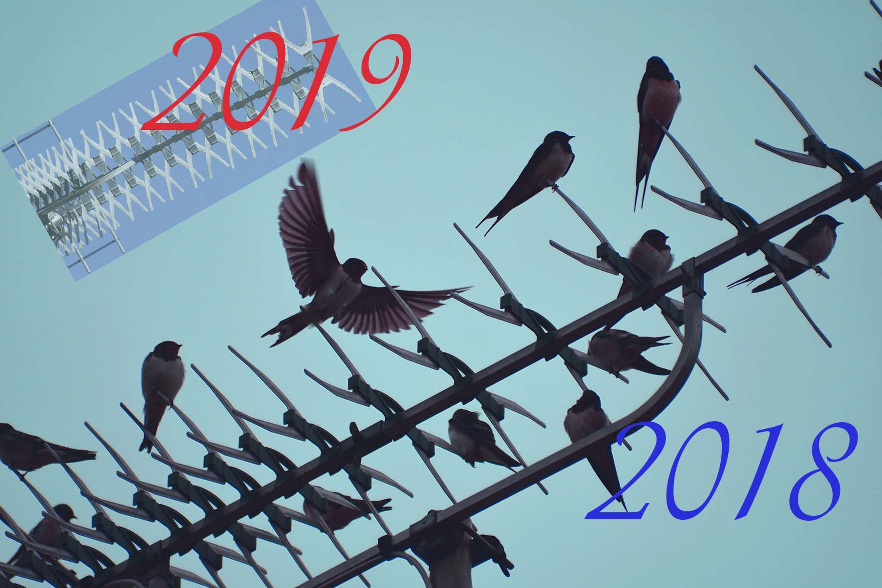 migration2019